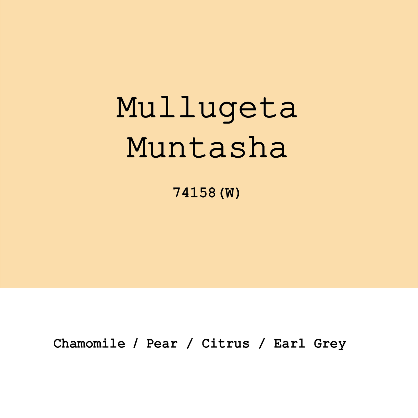 Ethiopia Arbegona Sidama Mullugeta Muntasha 74158 Washed
