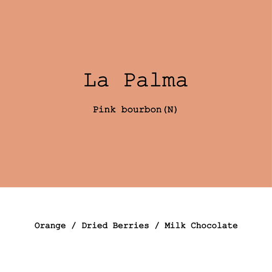 Colombia La Palma Pink Bourbon Natural