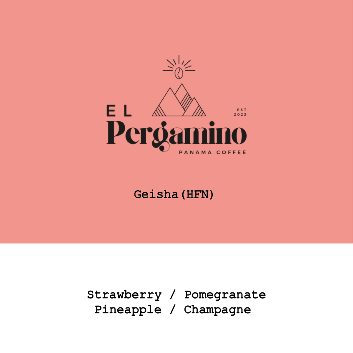 Panama El Pergamino Geisha Husk Fermentation Natural