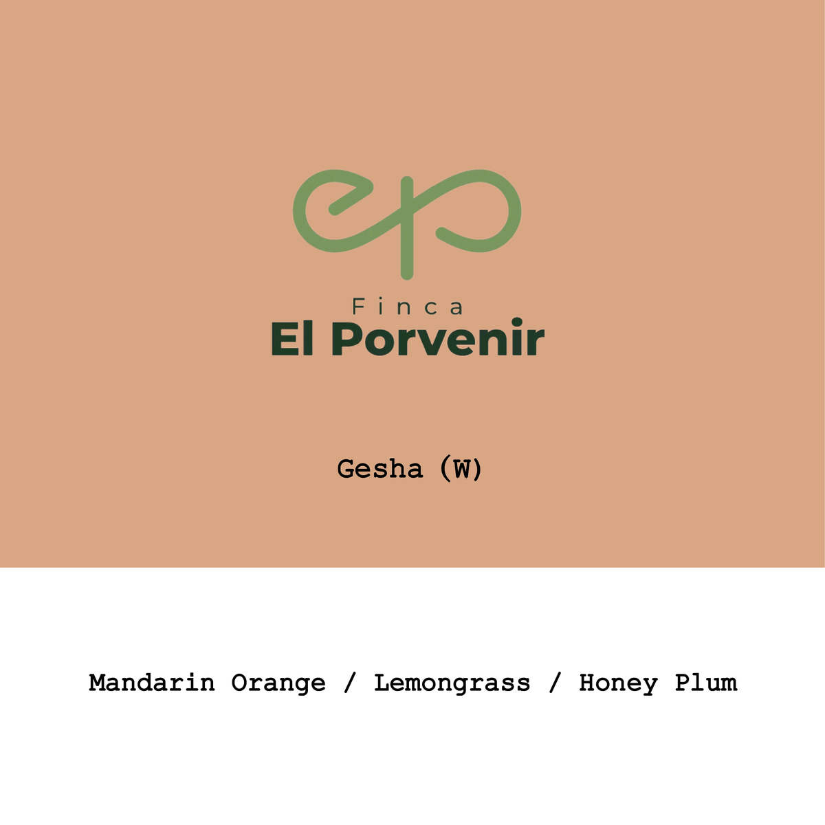 Colombia El Porvenir Gesha Washed
