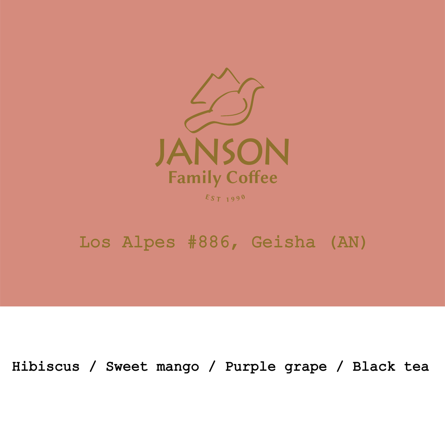 Panama Janson Family Coffee Los Alpes Geisha  48h Semi-anaerobic Natural #886