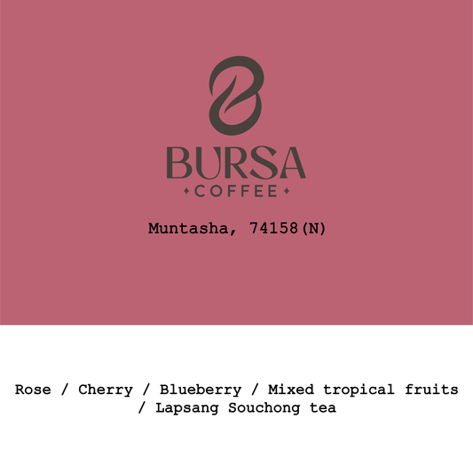 Ethiopia Muntasha 74158 Natural