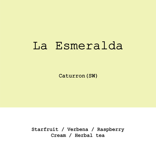 Colombia La Esmeralda Caturron Semi Washed