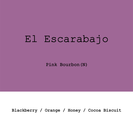 Colombia El Escarabajo Pink Bourbon Natural