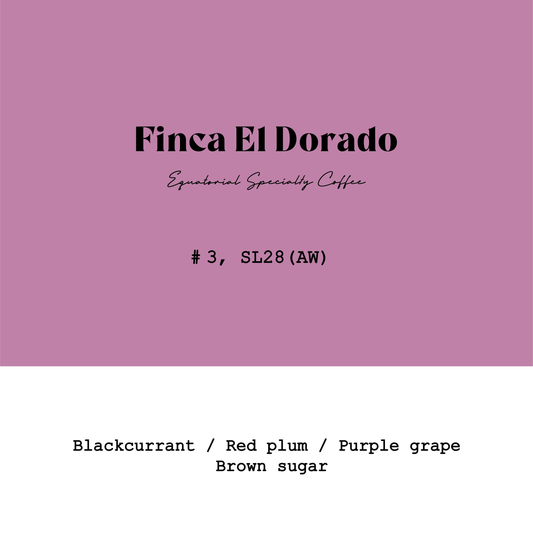 Ecuador El Dorado SL28  Lot3  Light Anaerobic Washed