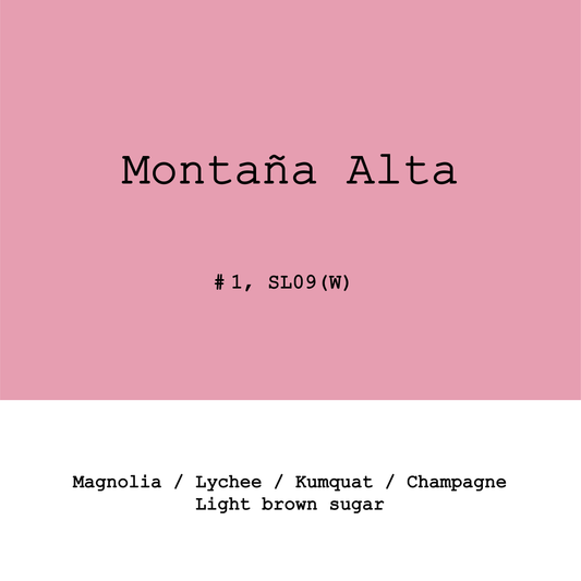 Peru Montaña Alta SL09 Lot1 Washed