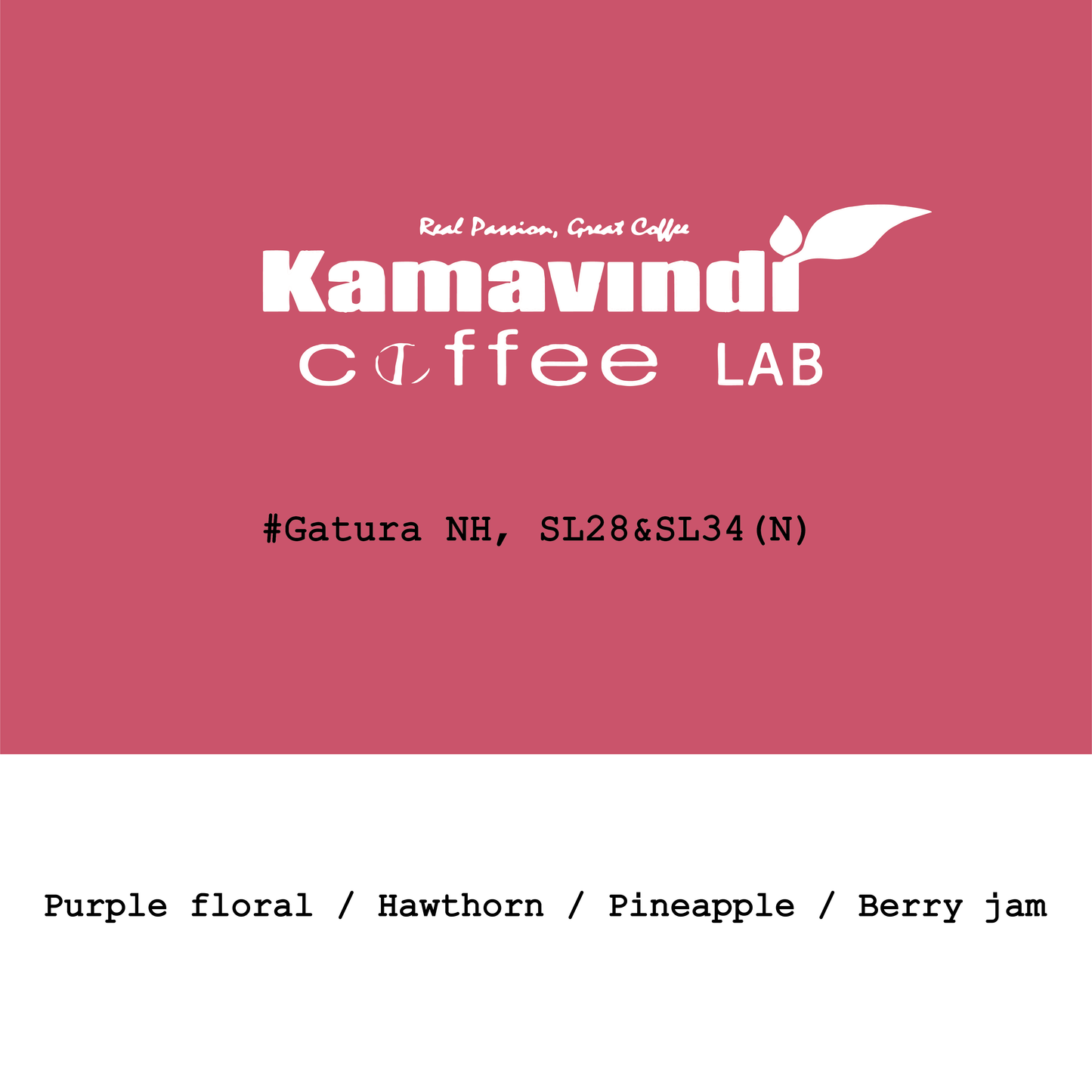 2026 New Crop Kenya Kamavindi-Gatura station SL28&SL34 Slow dry natural
