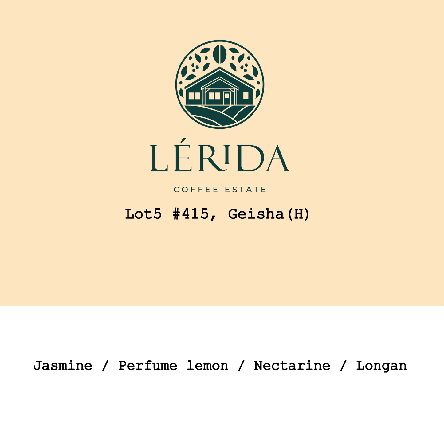 New Crop|Panama Lérida Estate Green Tip Geisha Honey Lot5 #415