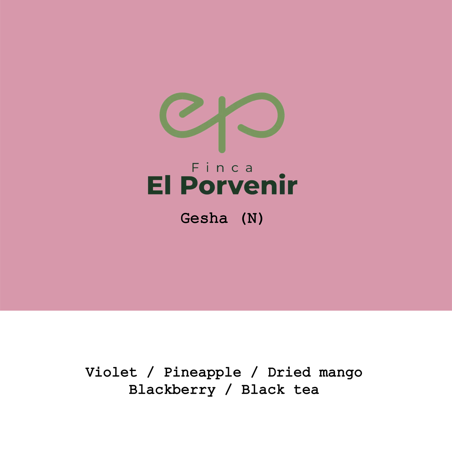 Colombia El Porvenir Geisha Natural