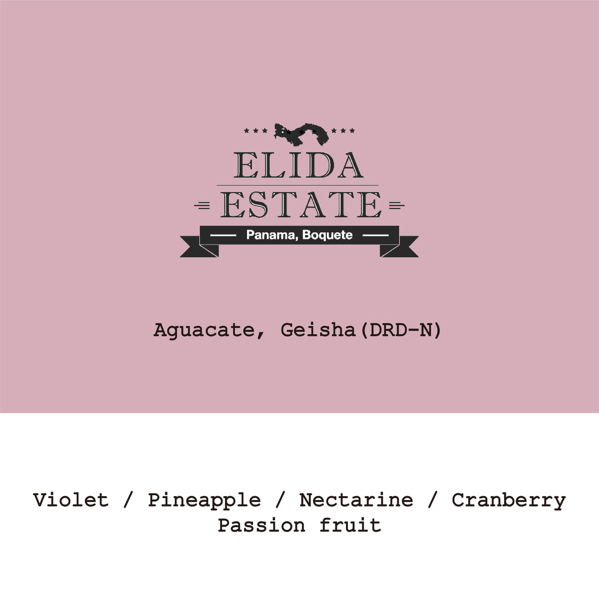 Panama Elida Aguacate Geisha DRD Natural #080426