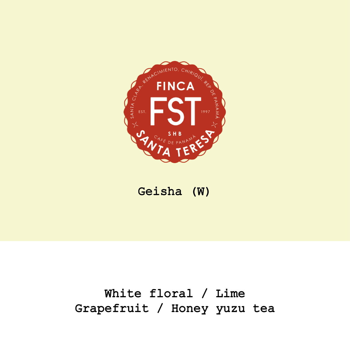 Panama Finca Santa Teresa Geisha Washed