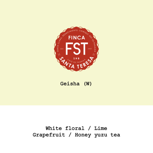 Panama Finca Santa Teresa Geisha Washed