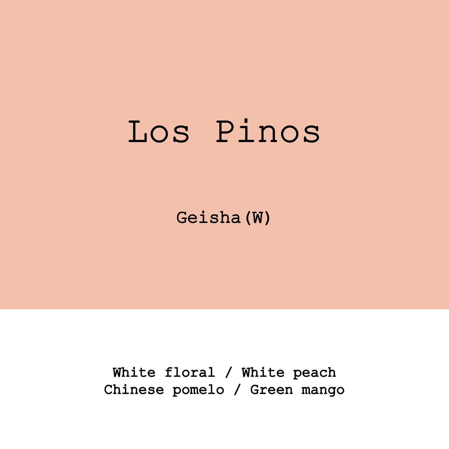 Honduras Los Pinos Geisha Washed