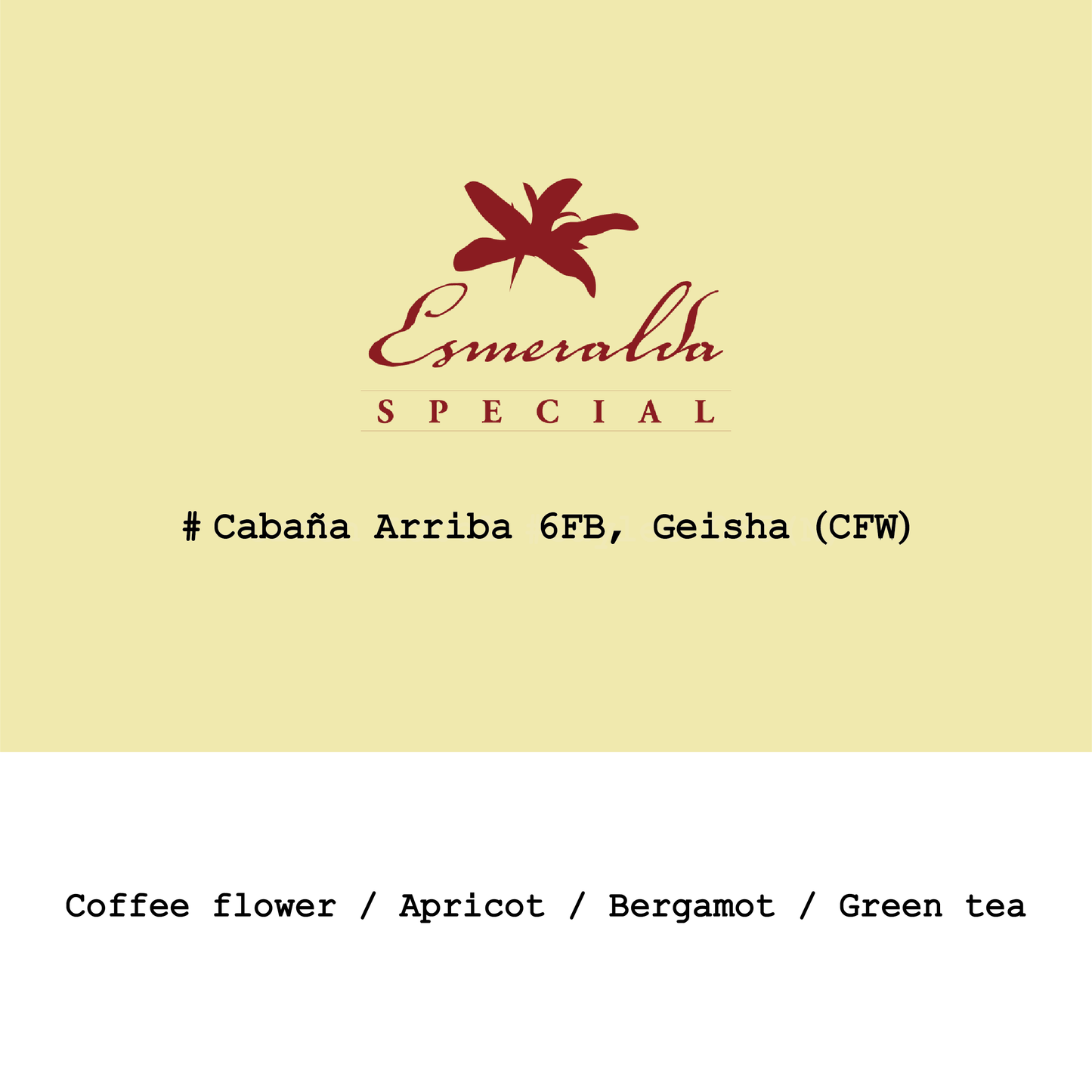 2026 New Crop Panama HLE-Cañas Verdes Cabaña Arriba #6FB Geisha Cold fermentation washed