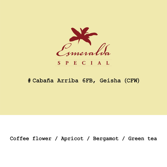 Panama HLE-Cañas Verdes Cabaña Arriba #6FB Geisha Cold fermentation washed