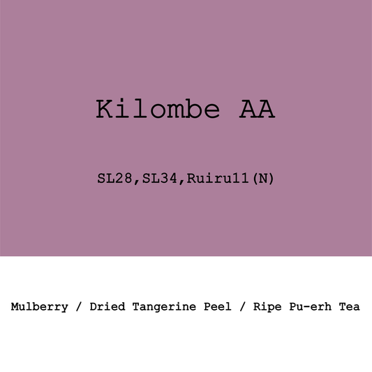 New Crop|Kenya Kilombe Farm AA  SL28, SL34, Ruiru11 Natural
