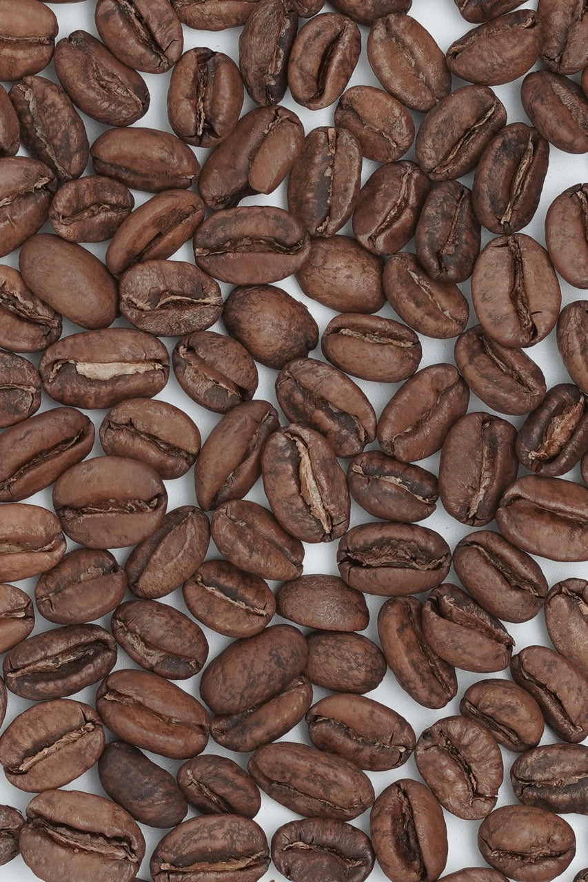 Colombia El Porvenir Geisha Natural