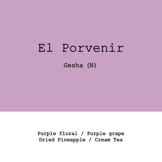 New Crop|Colombia El Porvenir Gesha Natural