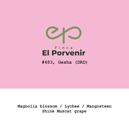 2026 New Crop Colombia El Porvenir Geisha Lot483 DRD Honey