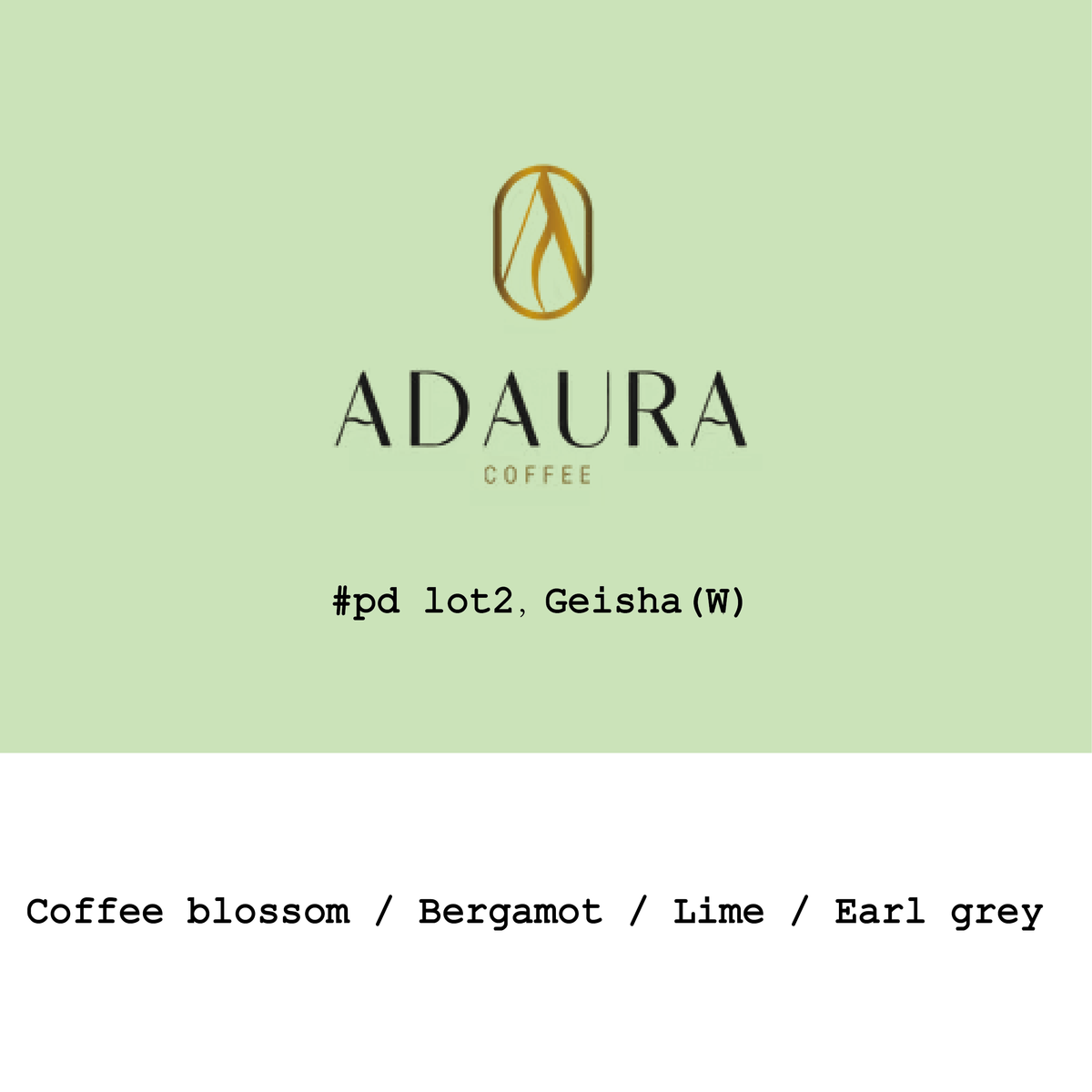Panama Adaura CoffeeFinca Lorayne Geisha Mossto washed Pd Lot2