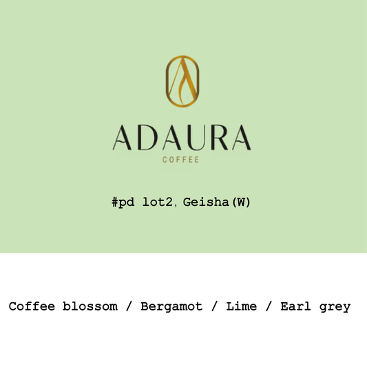 Panama Adaura CoffeeFinca Lorayne Geisha Mossto washed Pd Lot2