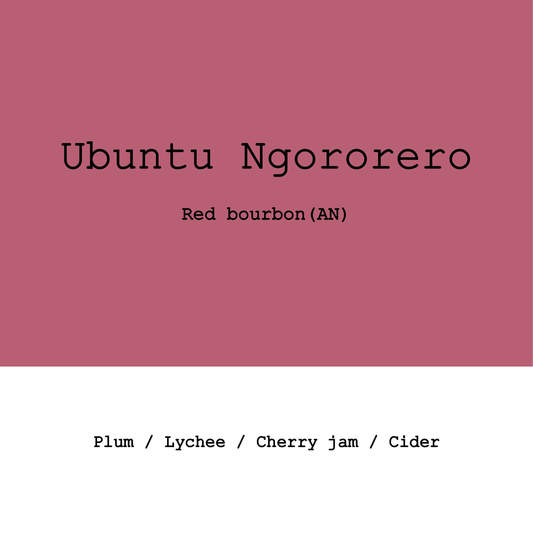 Rwanda Ubuntu Coffee -Ngororero Washing Station Red Bourbon Anaerobic Natural