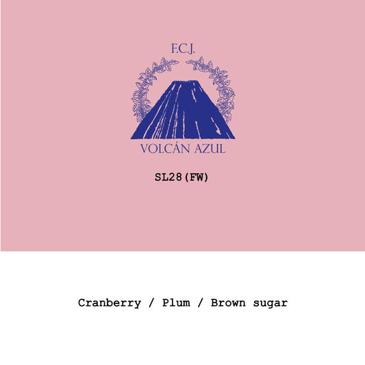 Costa Rica Volcan Azul SL28 Fully washed