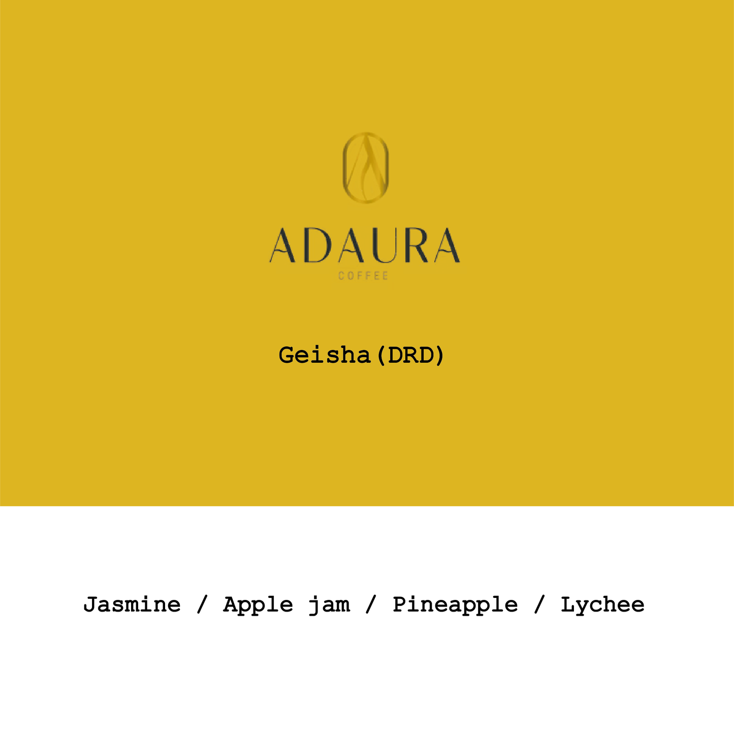 Panama Adaura Finca Lorayne Geisha DRD Natural