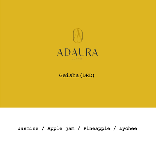 Panama Adaura Finca Lorayne Geisha DRD Natural