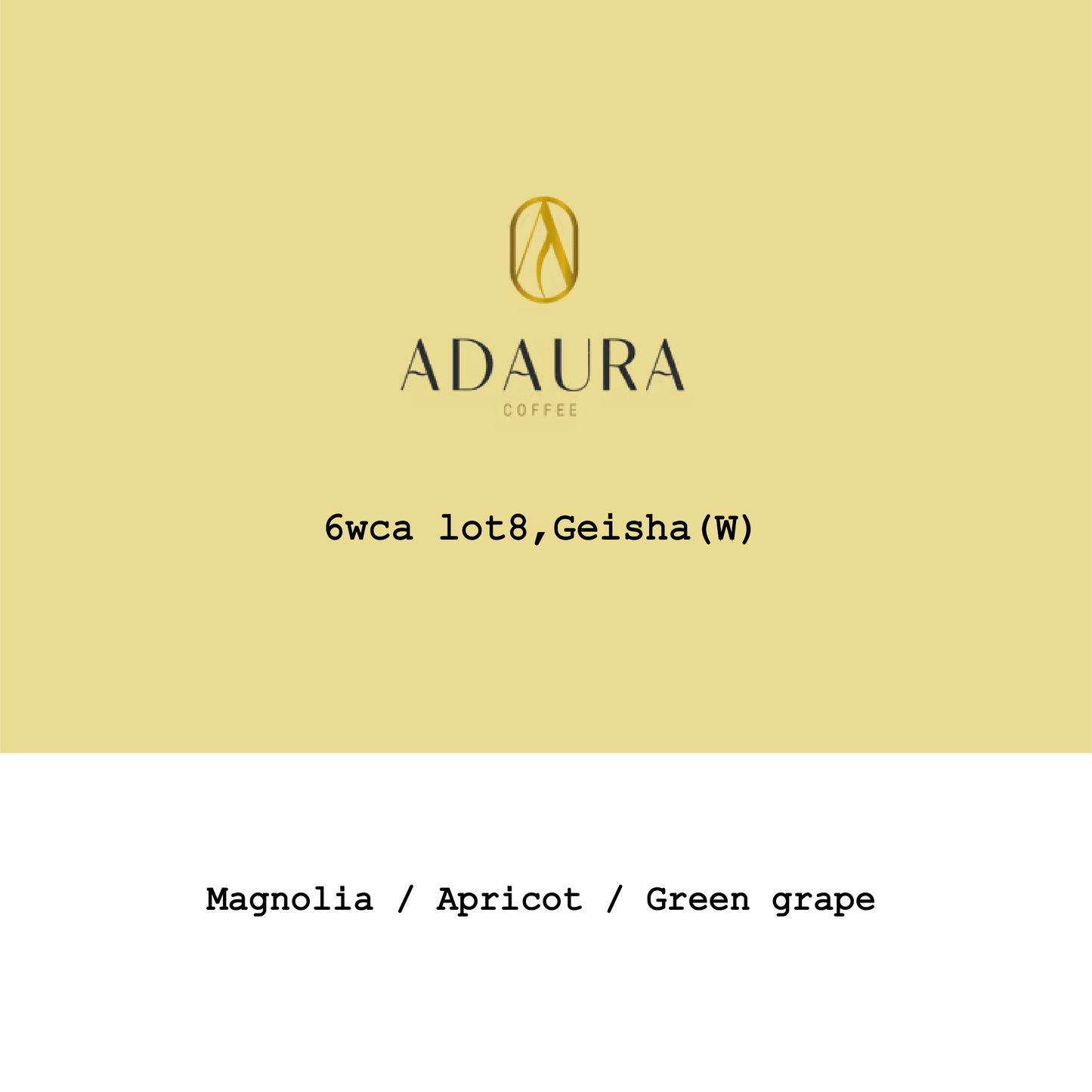 Panama Adaura Finca Lorayne Geisha Washed #6wca Lot8