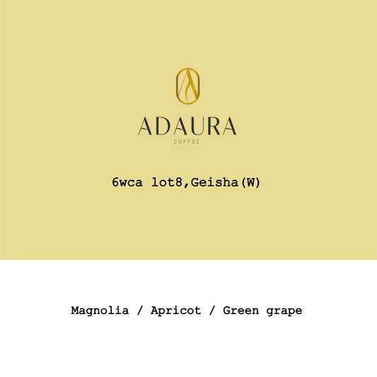 Panama Adaura Finca Lorayne Geisha Washed #6wca Lot8