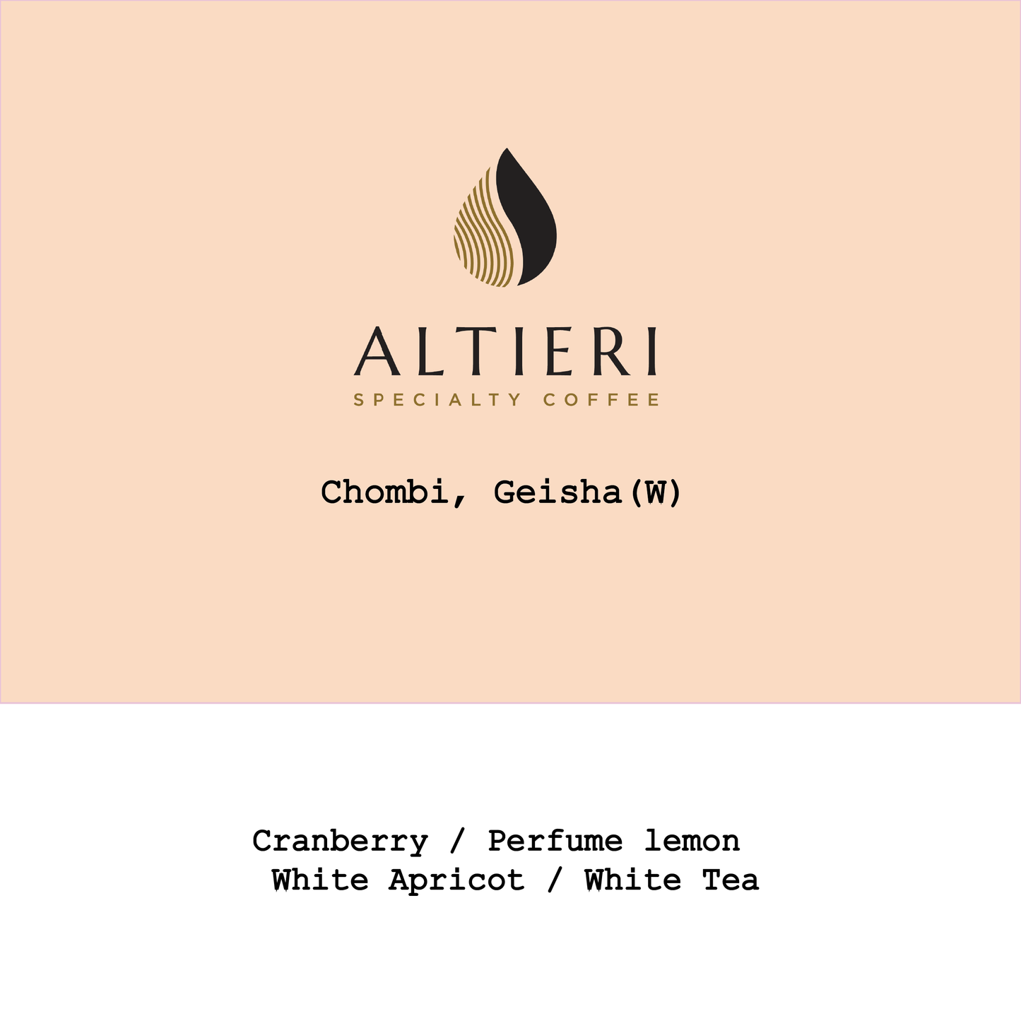 New Crop|Panama Alteri Chombi Geisha Washed #270225