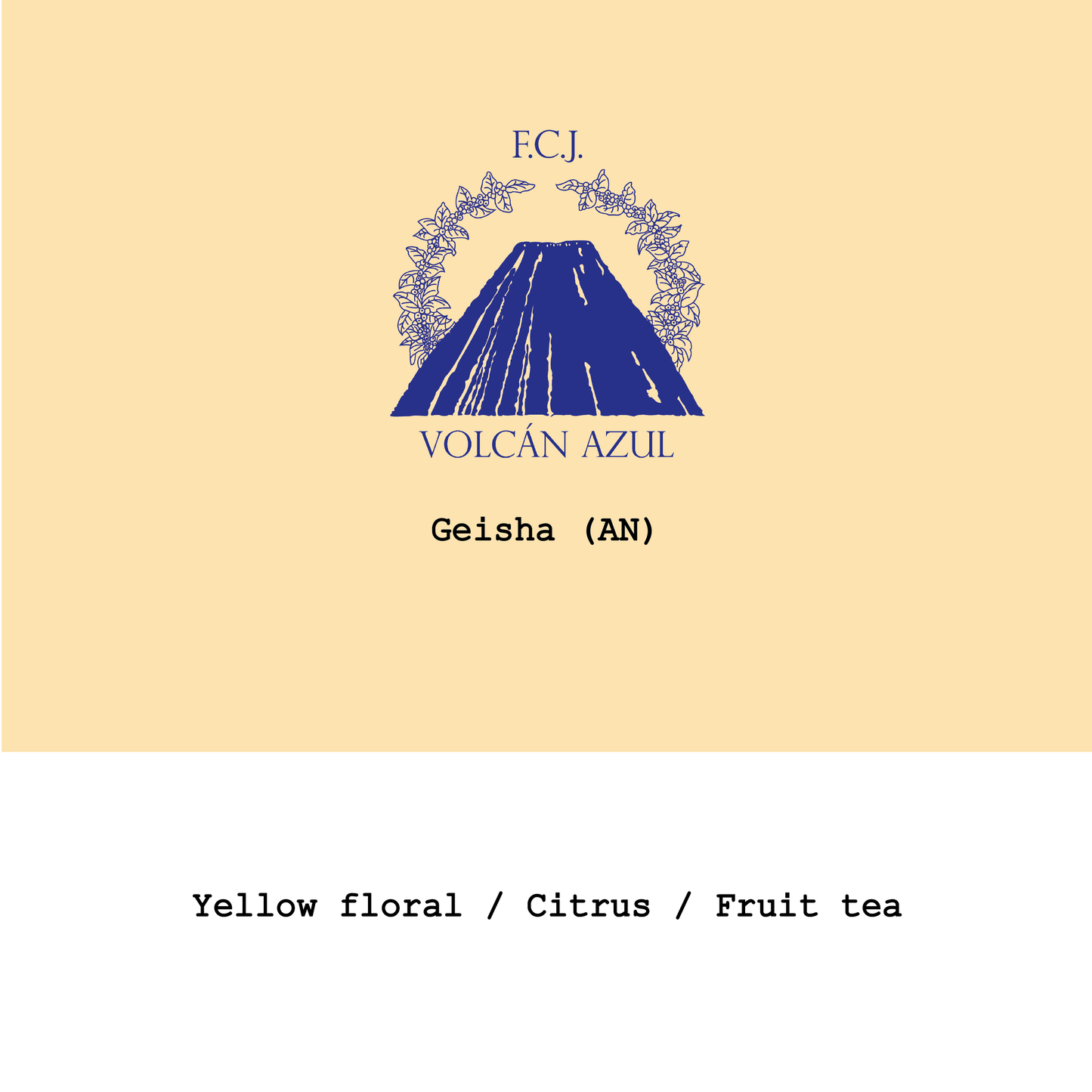 Costa Rica Volcan Azul Geisha Anaerobic natural