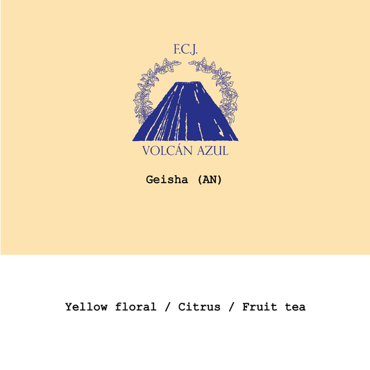 Costa Rica Volcan Azul Geisha Anaerobic natural