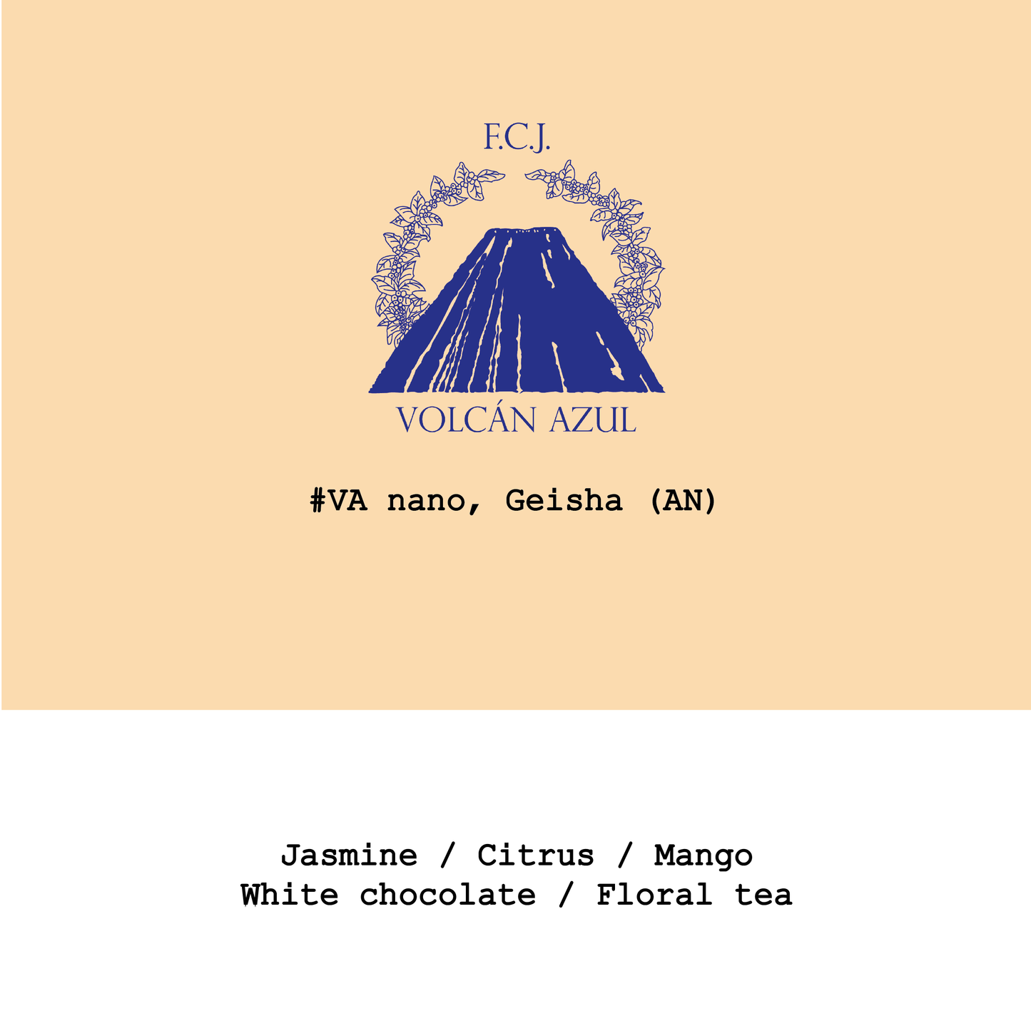 Costa Rica Volcan Azul Geisha Anaerobic natural #VA nano