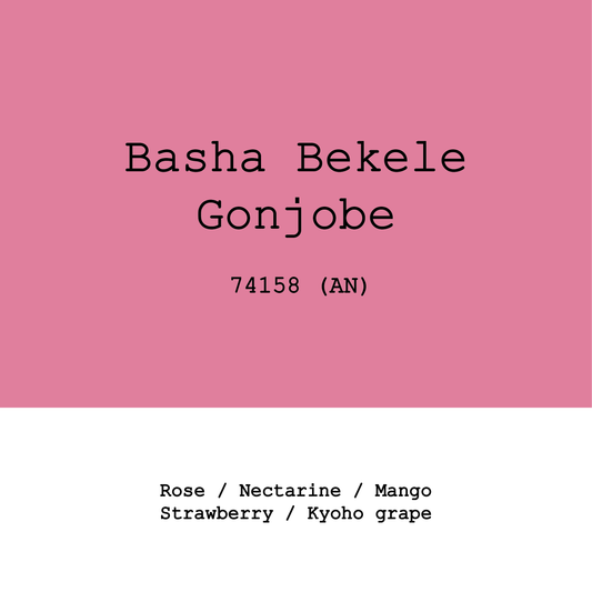 Ethiopia Gonjobe 74158 Anaerobic natural