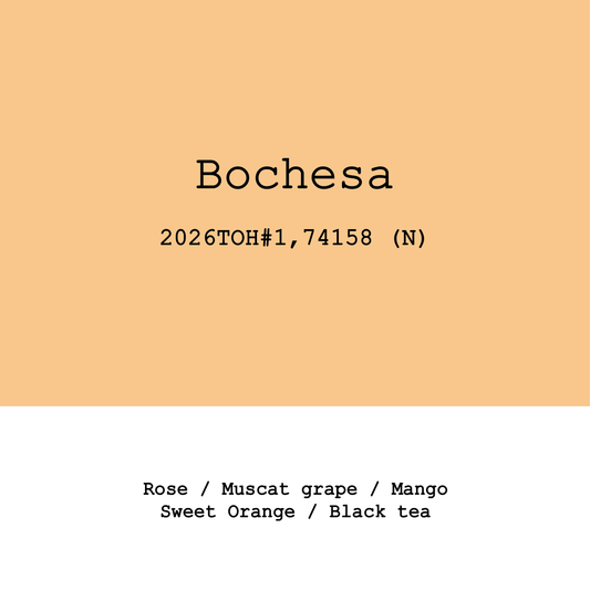 Ethiopia Bochesa 74158 Natural 2026 ToH#1