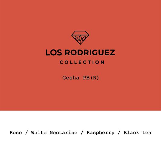 2026 New Crop Bolivia Los Rodriguez Geisha PB Natural