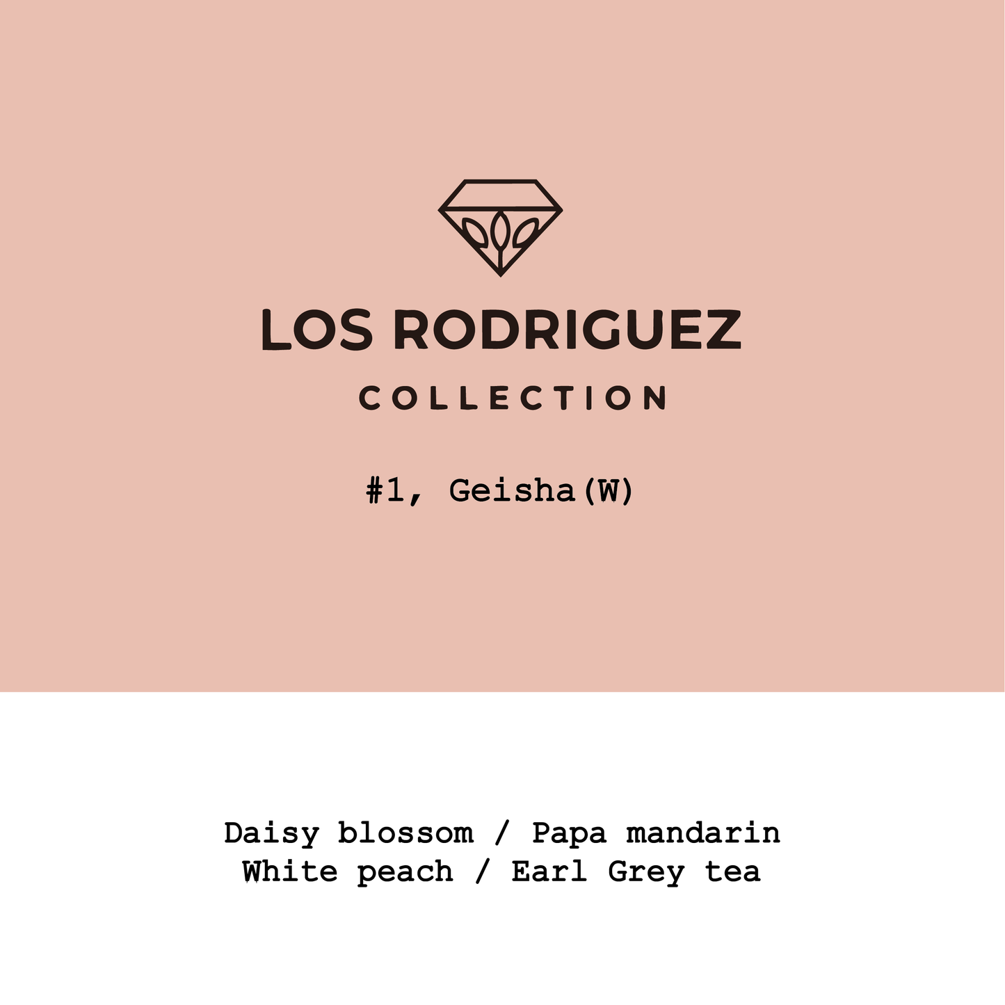 Bolivia Los Rodriguez-Alasitas Geisha Wahsed