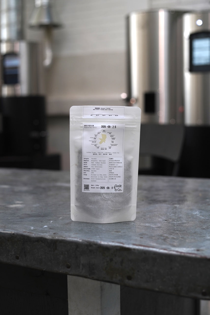 Panama HLE-Cañas Verdes Cabaña Arriba #6FB Geisha Cold fermentation washed