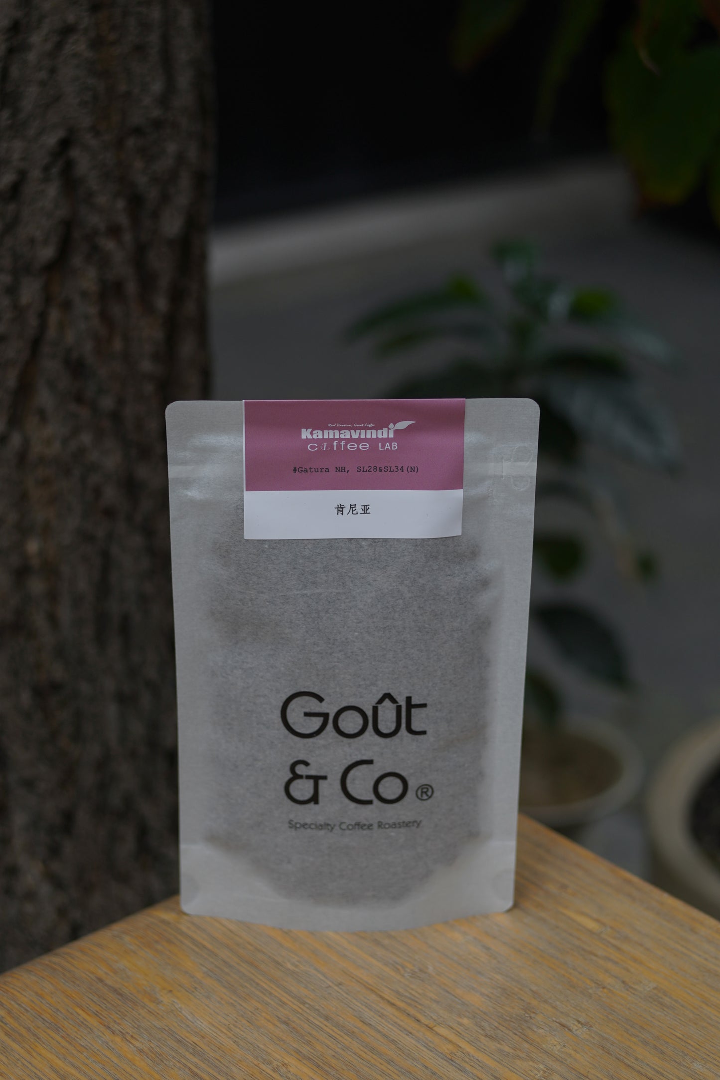 2026 New Crop Kenya Kamavindi-Gatura station SL28&SL34 Slow dry natural