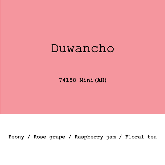 Ethiopia Duwancho 74158 Mini Anaerobic Honey