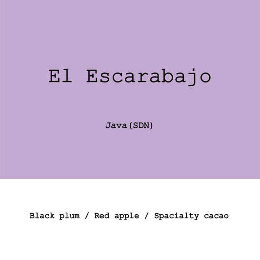 Colombia El Escarabajo Java 120h Slow dry natural