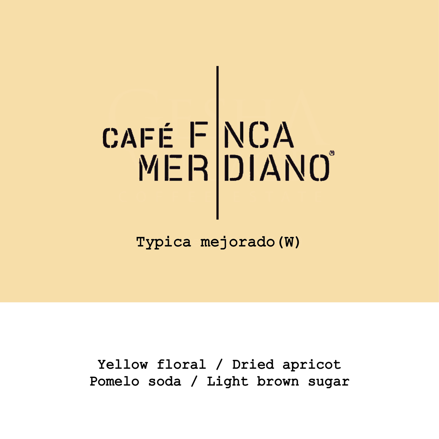 Ecuador Finca Meridiano Typica Mejorado Classic washed