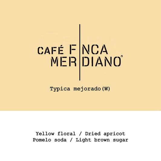 Ecuador Finca Meridiano Typica Mejorado Classic washed