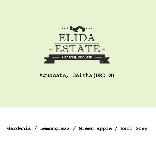 Panama Lamastus Elida Estate Aguacate Green Tip Geisha DRD Washed #220225