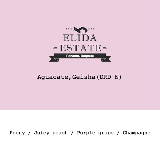 Panama Elida-Aguacate Geisha Dark-room dry natural