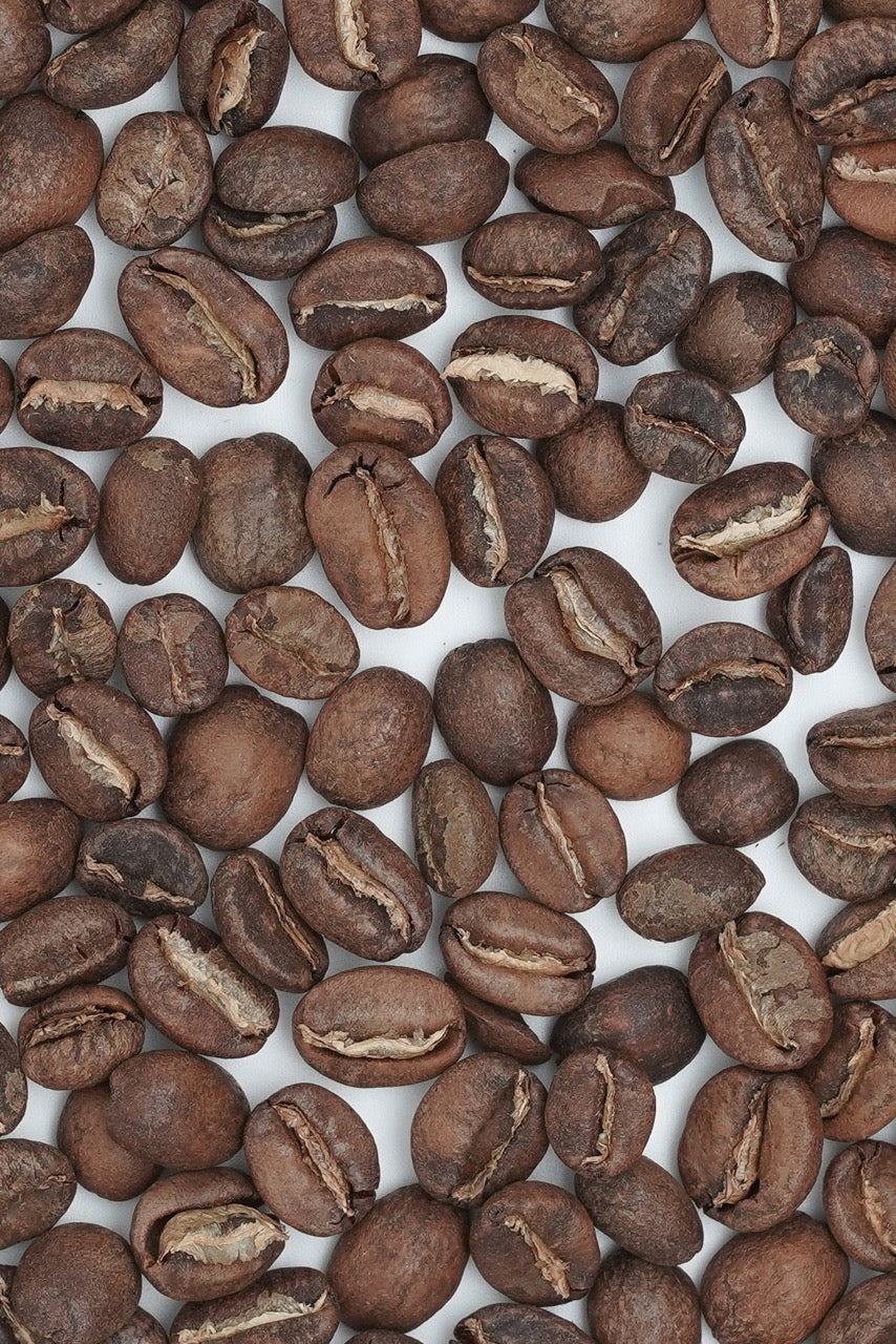 Ecuador Eliza Geisha Anaerobic Washed Double Fermented