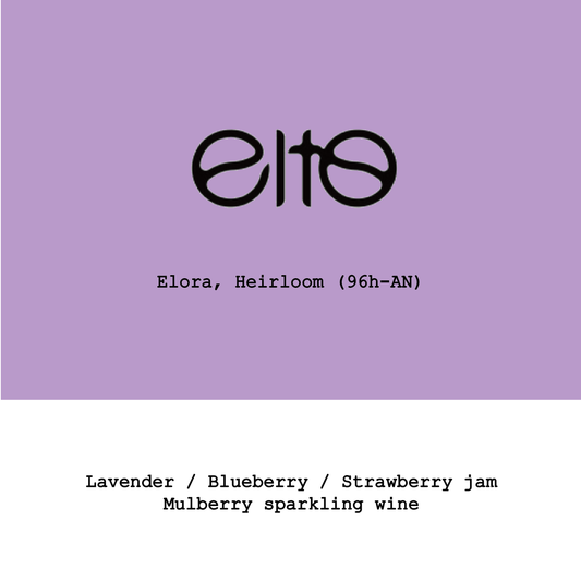Ethiopia Elto Coffee-Elora Heirloom 96h Anaerobic natural