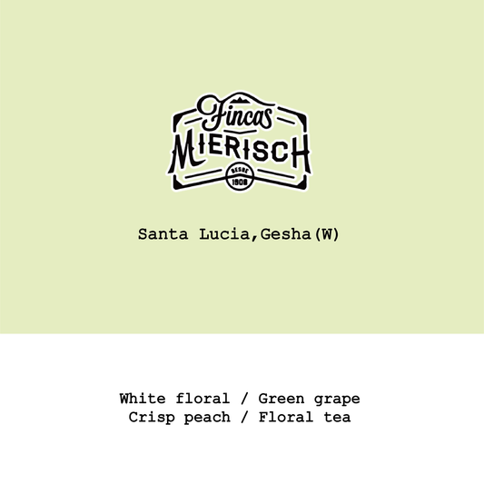 Honduras Santa Lucia Gesha Washed